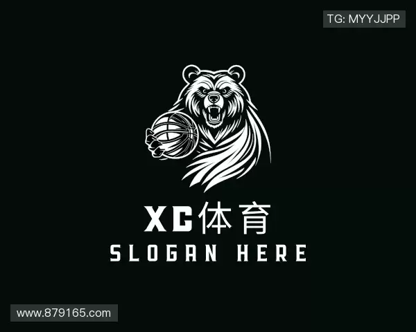 介绍XC体育